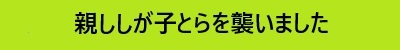 しし暴