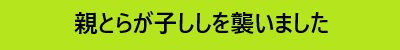 とら暴