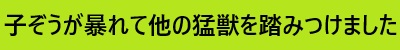 ぞう暴